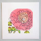 "Garden Sketch Peony I" - Limited Edition Fine Art Print in pink by Janie Allen