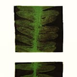 "Dragonfly Fern Print" - Limited Edition Fine Art Print in multicolorassorted-colors by Dana Williamowsky