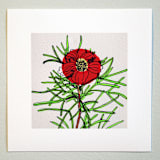 "Garden Sketch Cosmos" - Limited Edition Fine Art Print in red by Janie Allen