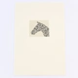 "Mr. Ed" - Limited Edition Fine Art Print in multicolorassorted-colors by Dana Williamowsky
