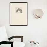 "Mr. Ed" - Limited Edition Fine Art Print in multicolorassorted-colors by Dana Williamowsky