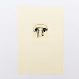 "Harvest Mushroom" - Limited Edition Fine Art Print in multicolorassorted-colors by Dana Williamowsky