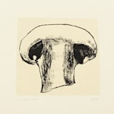 "Harvest Mushroom" - Limited Edition Fine Art Print in multicolorassorted-colors by Dana Williamowsky