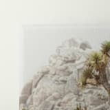 "Desert Flurry - "64" x 36"" - Limited Edition Fine Art Print in gray by Kamala Nahas
