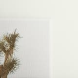 "Mojave 1 - 48" x 27"" - Limited Edition Fine Art Print in beige by Kamala Nahas