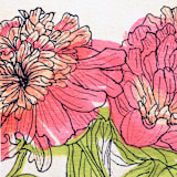 "Garden Sketch Peony II" - Limited Edition Fine Art Print in pink by Janie Allen