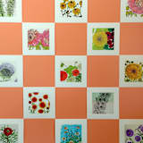 "Garden Sketch Gillardia" - Limited Edition Fine Art Print in orange by Janie Allen