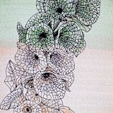 "Garden Sketch Bells of Ireland" - Limited Edition Fine Art Print in green by Janie Allen