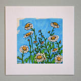 "Garden Sketch Daisy" - Limited Edition Fine Art Print in blue by Janie Allen