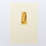 "Harvest Sweet Potato" - Limited Edition Fine Art Print in multicolorassorted-colors by Dana Williamowsky