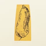 "Harvest Sweet Potato" - Limited Edition Fine Art Print in multicolorassorted-colors by Dana Williamowsky