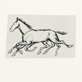 "Galloping Horse" - Limited Edition Fine Art Print in multicolorassorted-colors by Dana Williamowsky