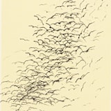 "Crows over Cornfield" - Limited Edition Fine Art Print in multicolorassorted-colors by Dana Williamowsky