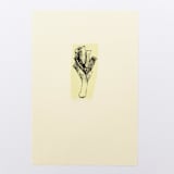 "Harvest Leek" - Limited Edition Fine Art Print in multicolorassorted-colors by Dana Williamowsky