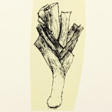 "Harvest Leek" - Limited Edition Fine Art Print in multicolorassorted-colors by Dana Williamowsky