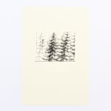 "Three Pines" - Limited Edition Fine Art Print in black by Dana Williamowsky