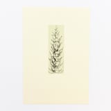 "Pine" - Limited Edition Fine Art Print in multicolorassorted-colors by Dana Williamowsky
