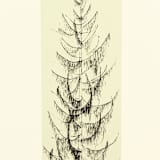 "Pine" - Limited Edition Fine Art Print in multicolorassorted-colors by Dana Williamowsky