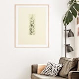 "Pine" - Limited Edition Fine Art Print in multicolorassorted-colors by Dana Williamowsky