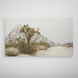 "Desert Flurry - 48" x 27"" - Limited Edition Fine Art Print in gray by Kamala Nahas