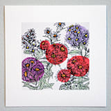 "Garden Sketch Asters" - Limited Edition Fine Art Print in pink by Janie Allen
