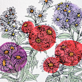 "Garden Sketch Asters" - Limited Edition Fine Art Print in pink by Janie Allen