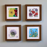 "Garden Sketch Asters" - Limited Edition Fine Art Print in pink by Janie Allen