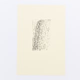 "Cornstalk 1" - Limited Edition Fine Art Print in black by Dana Williamowsky