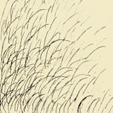 "Grasses" - Limited Edition Fine Art Print in multicolorassorted-colors by Dana Williamowsky