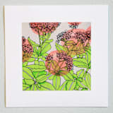 "Garden Sketch Sedum" - Limited Edition Fine Art Print in pink by Janie Allen
