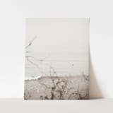 "Surfside II - 8" x 10"" - Limited Edition Fine Art Print in gray by Kamala Nahas