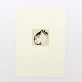 "Harvest Onion" - Limited Edition Fine Art Print in multicolorassorted-colors by Dana Williamowsky