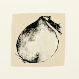 "Harvest Onion" - Limited Edition Fine Art Print in multicolorassorted-colors by Dana Williamowsky