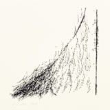 "Cornstalk 3" - Limited Edition Fine Art Print in black by Dana Williamowsky