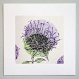 "Garden Sketch Wild Bergamot" - Limited Edition Fine Art Print in purple by Janie Allen