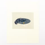 "Hat" - Limited Edition Fine Art Print in multicolorassorted-colors by Dana Williamowsky