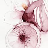 "Purple Figs with Magnolia flower" - Limited Edition Fine Art Print in purple by Angele Kamp