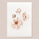 "Icelandic Poppies Flowers" - Limited Edition Fine Art Print in orange by Angele Kamp