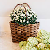 "The Small Wide Weave Market Basket in Dark" - Decorative Baskets in brown by Millstream Home