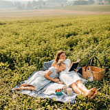 "The Linda Sue Picnic Basket" - Decorative Baskets in natural by Millstream Home