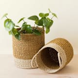 "Mustard Cylinder Basket with handles, nested set of 2" - Decorative Baskets in yellow by LIKHA