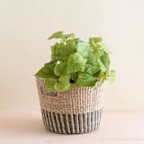 "Grey + Natural Tapered Basket" - Decorative Baskets in gray by LIKHA