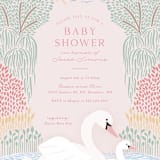 "Swan Song" - Baby Shower Invitations in Sherbet by Carolyn Kach - Detail