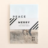 "Merry All Year." - Holiday Belly Bands in Penguin by Pink House Press - Assembled