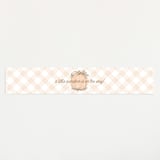 "Little Pumpkin" - Baby Shower Belly Bands in Peach by Paper Sun Studio - Front