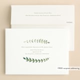 "Cheerful Blessing" - Baptism and Christening Invitations in Lime by Morgan Ramberg - FREE Recipient Addressing