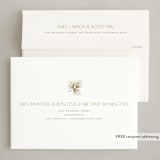 "New Addition" - Holiday Birth Announcement Cards in Eggnog by Benita Crandall - FREE Recipient Addressing