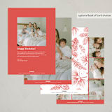 "Greatest Gift" - Holiday Birth Announcement Cards in Santa Suit by Benita Crandall - Back of Card Options