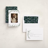 "Aurelia" - Holiday Birth Announcement Cards in Winter by Erin L. Wilson - Assembled