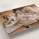 "There is one more" - Holiday Birth Announcement Cards in Butterscotch by Jackie Crawford - Detail